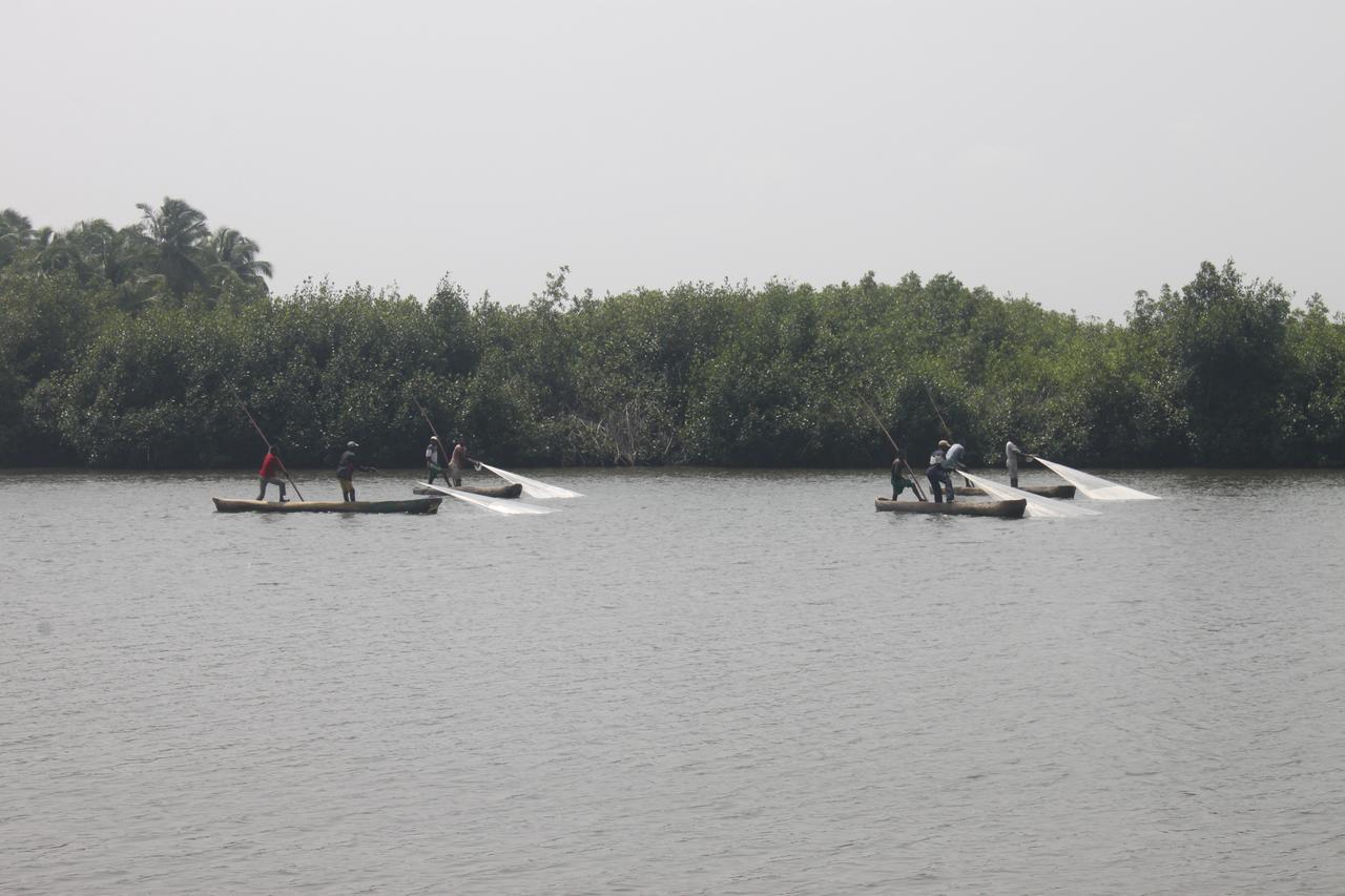 Natura Luxury Lodge Ouidah Kültér fotó